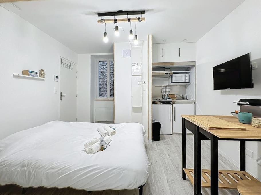 Lamirar - Centre Historique - Proche Gare - Calme Apartment Rennes Ngoại thất bức ảnh